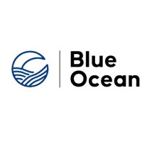 Blue Ocean Crypto Marketing logo - Similar company to Dreamlabs Studio