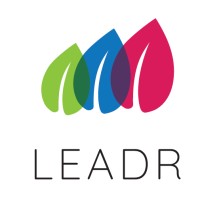 LEADR logo - Similar company to Reimagine17