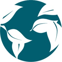 Koya logo - Similar company to Niu