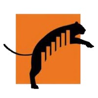 Princeton Corporate Finance Club logo - Similar company to Penn-Yale-Princeton-Columbia (Pypc) Case Competition