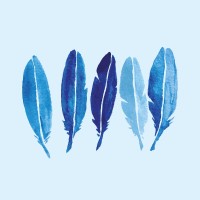Five Ducks Design