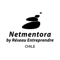 Netmentora Chile logo - Similar company to Instituto 3Ie