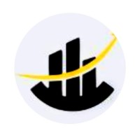 Nz Business Consultants logo - Similar company to Frank Innovation & Transformation