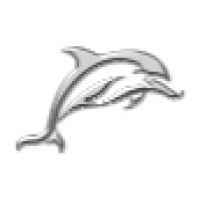 Dolphin Television logo - Similar company to Zestify Media Ltd