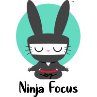 Ninja Focus logo - Similar company to Twostep