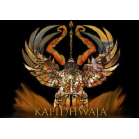 Kapidhwaja Business & Skills Advisors LLP logo - Similar company to 3A Outsourcing Advisors