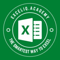 Exceliq.Academy logo - Similar company to Bigbad, Inc.