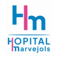 HOPITAL DE MARVEJOLS logo - Similar company to Les Ailes