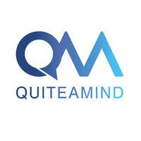 QuiteaMind logo - Similar company to Cloud Connection Ltd.