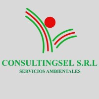 CONSULTINGSEL SRL logo - Similar company to Gehsima S.A.C.