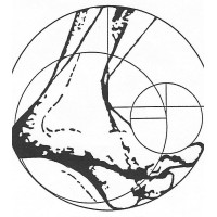 The Foot Center Plc