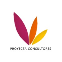 Proyecta Consultores Tic