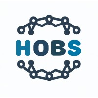 hobs-ai logo - Similar company to Quantflow