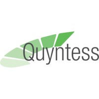 Quyntess logo - Similar company to Adels It-Service