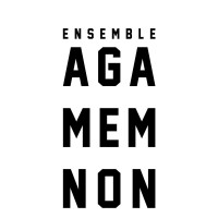 Ensemble Agamemnon logo - Similar company to Ensemble Il Caravaggio