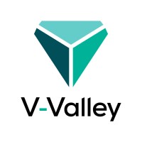 V-Valley - enhancing your business logo - Similar company to Intoit Networks