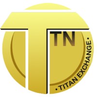 TTNEX logo - Similar company to Kisna Infotech
