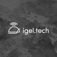 igel.tech digital agency logo - Similar company to Digital Knights