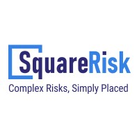 SquareRisk logo - Similar company to Bridge Suite