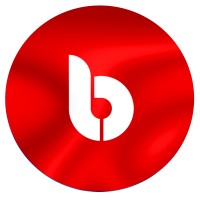 BRITON GROUP logo - Similar company to Software Engineering En Español