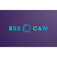 BSB Conseil & Management logo - Similar company to Digital Bridge