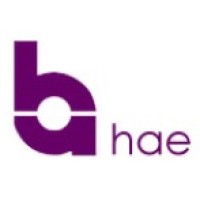 Heston Apex Europe Limited logo - Similar company to Balthorne Security Solutions Ltd