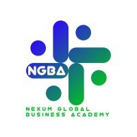 Nexum Global Business Academy logo - Similar company to Nexumglobal