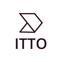 IT TANA OPPORTUNITIES - ITTO logo - Similar company to Cuberh