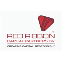 Red Ribbon Capital Partners BV logo - Similar company to Copper Beech Advisory