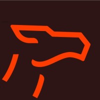 NOOG logo - Similar company to Wizztec