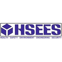 HSEES logo - Similar company to Bin Commerce