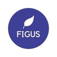 Nova Figus logo - Similar company to Cassis Business