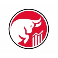 The Big Bull Investment Association logo - Similar company to Resume2Projectwork