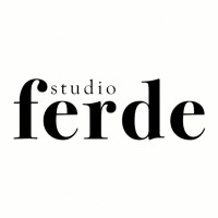 Studio Ferde logo - Similar company to M&F Tech Services B.V