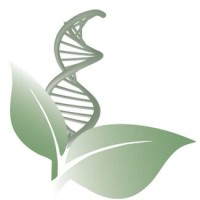 Regeneris Medical Boston logo - Similar company to Proform Physical Therapy