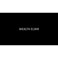 Wealth Elixir logo - Similar company to Gsaa & Co. Llp
