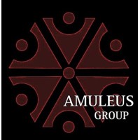 AMULEUS GROUP LLC logo - Similar company to Veterans Security Group