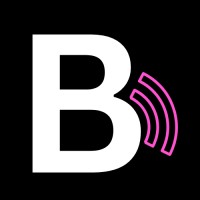 Blyzzo logo - Similar company to Overite
