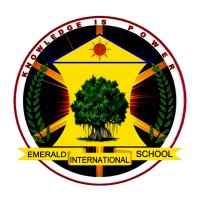 Emerald International School Faridabad logo - Similar company to Barak Valley Updates