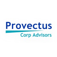 Provectus CorpAdvisors logo - Similar company to Sourcein Solutions