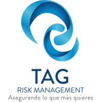 TAG Risk Management logo - Similar company to Tag Risk Management