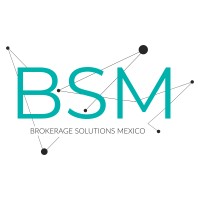 BSM Telecomunicaciones logo - Similar company to Beamliners Group