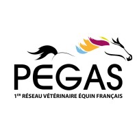 Réseau PEGAS logo - Similar company to Ssevif
