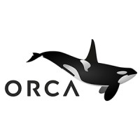 Orca Brand Stories logo - Similar company to Focus Wave