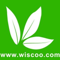 Wiscoo Electronics Company Limited logo - Similar company to Releafy Tech