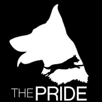 The Pride logo - Similar company to Dmark Energy Solutions