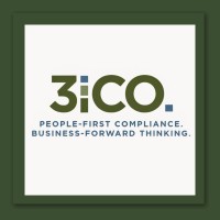 3iCO logo - Similar company to Lamplighter Financial