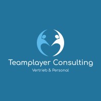 Teamplayer Consulting logo - Similar company to Teamplayer Publishing, Llc