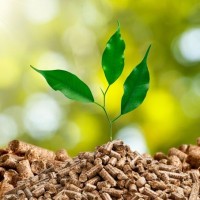 BIECIR logo - Similar company to Aquaberry