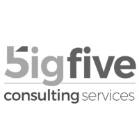 Big Five Consulting Services logo - Similar company to Migralaw